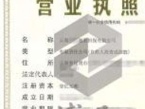 企業注冊與法律咨詢服務全攻略 深圳執照、區塊鏈執照、商業保理執照及重慶法律商務咨詢解析